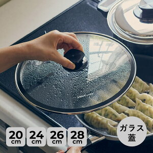 Vita Craft �r�^�N���t�g �K���X�W 20cm 24cm 26cm 28cm �Ή� �t���C�p���J�o�[ ��W GLASS LID 3110 3114 3116 3118