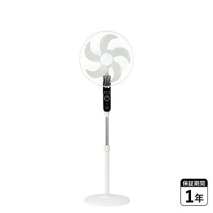 APIX INTL AC Floor Fan AsbNXC^[iVi @ rO@ t@ ㉺EU 3iK Rt 5H I It^C}[ [h AFL-256R