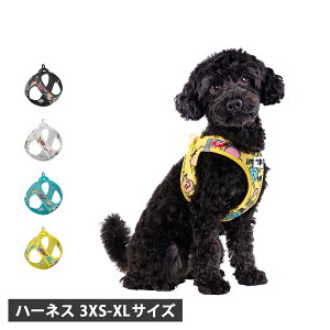 Curli CLASP/VEST AIR MESH HARNESS J[[  hbOEFA n[lX  hbOxXg NXv 3XS-2XS ^Ή XS-S ^Ή M-XL ^Ή ʋC y