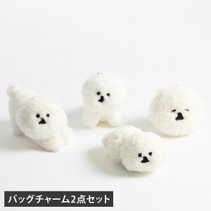 MAMBO }{ obO`[ 2_Zbg ʂ obOANZT[ Y fB[X 삢Â rV t[[ zCg 