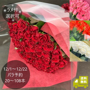 12/1〜12/22 バラの花束 20本〜108本 |選べる本数・色・ラメ有無 送料込み |クリスマス プロポーズ 結婚記念日 誕生日 長寿祝い 開店祝い 【6日後以降お届け日指定可】