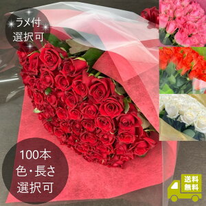 o100{̉ԑ bIׂFEEL  bv|[Y LO a j JXj y6ȍ~͂wz