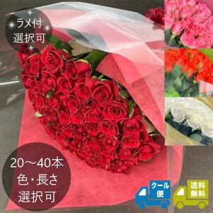 o20`40{̉ԑ bIׂFEtEEN[  bv|[Y LO a j JXj y6ȍ~͂wz