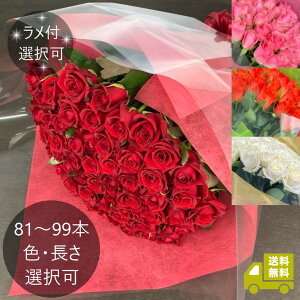 o81`99{̉ԑ bIׂFEEL  bv|[Y LO a j JXj y6ȍ~͂wz