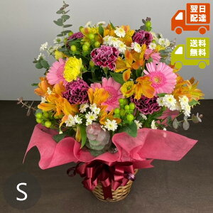 JWAAWgSb 30`60cmiEϔ㍞݁jyw\zyyΉzbp j a LO j  Q oYj