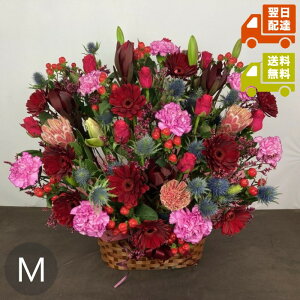 X^_[hAWgMb 40`60cmiEϔ㍞݁jyw\zyyΉzbp j a LO j  Q oYj