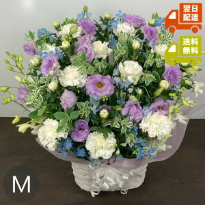 ݃AWgMbHEϔ㍞݁y݁zyw\zyyΉzy@vzyzyl\zyzyOzyzy\Ozy\