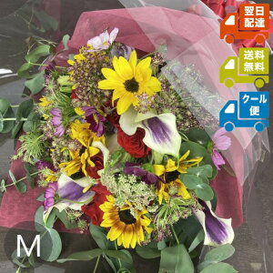 Ԃ܂{[ԑM biEϔ㍞݁jyw\zyyΉzbp j a LO j  Q oYj