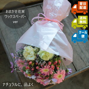 Ԃ܂{[ԑ(bNXy[p[ver)b Xňl̉ԑiEϔ㍞݁jyw\zyyΉzbp j a LO j 