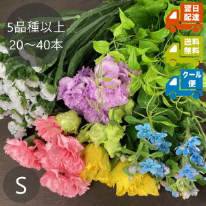 【当店人気No.1】お花の福袋 Sサイズ(加工なし)5品種以上20〜40本入り 送料込み クール便対応可 | 生花 切り花 切花 花束 アレンジメント 誕生日 来客用 ご自宅用 お悔み お供え