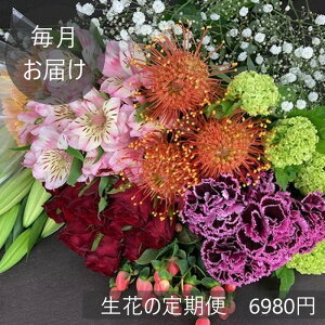 yC`zԂ̒(Еz)69806ވȏ40`60{(ō݁E݁ArOKI)yŒ12z