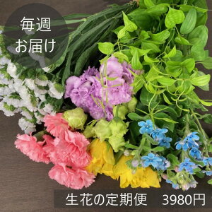 yTzԂ̒(Еz)39805ވȏ20`40{(ō݁E݁ArOKI)yŒ12z