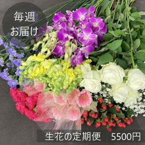 yTzԂ̒(Еz)55005ވȏ30`50{(ō݁E݁ArOKI)yŒ12z