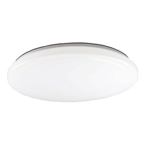 �\�@�[�C���O(SOARING) LED�V�[�����O���C�g 12�� 49W 5000lm ���� �����F �����R���t�� LDCY12D49S1