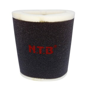 �G�k�e�B�[�r�[(NTB) NTB(�G�k�e�B�[�r�[) �G�A�t�B���^�[ �J���T�L�� �[�t�@�[1100/RS (ZRT10A) KA-1012