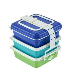 T-WORLD �X�^�b�N���s�N�j�b�N�P�[�X�p�^3�i �u���[ S �wColors(�J���[�Y)�x 4080