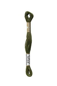LECIEN (���V�A��) �R�X�� �h���イ�� 25�Ԏ� 1��6������ No.25 Floss(�t���X) �F2014 0000000025