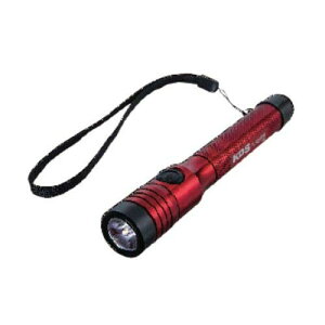 �����e�b�NKDS LED�t���b�V�����C�gS220DW FL-S220DW