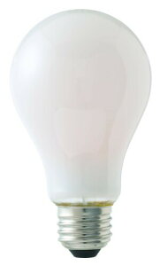 �������^���H��(��) ��ʓd���^LED�d��100W���� LDA12LWG100WTM �z���C�g