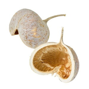 ��n�_�� �h���C�t�����[ �i�`�������x�[�W�� ��L7�`12cm �u�b�_�i�b�c DO085700-032 2����