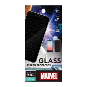 Premium Style iPhone 12/12 Pro�p �t���ی�K���X �m���S�n PG-DGL20G01MVL