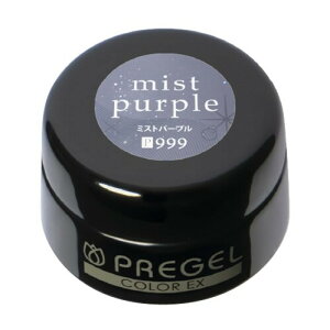 PRE GEL �J���[EX �~�X�g�p�[�v�� 3g PG-CE999