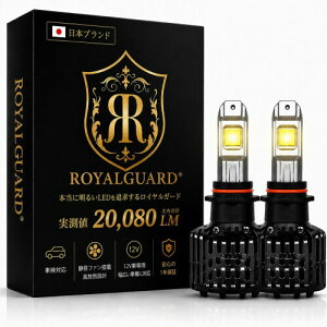 PSX26W LED�t�H�O�����v �C�G���[ ���C�����K�[�h �I���K ����20080LM