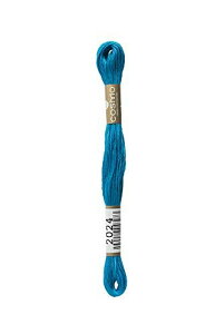 LECIEN (���V�A��) �R�X�� �h���イ�� 25�Ԏ� 1��6������ No.25 Floss(�t���X) �F2024 0000000025