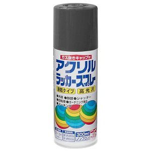 �j�b�y �y���L �X�v���[ �A�N�������b�J�[�X�v���[ 300ml �_�[�N�O���[ ���b�J�[ �₠�� ���O ���{�� 4976124270437