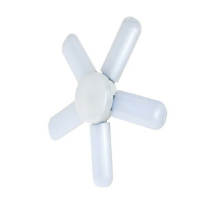 SK11(�G�X�P�[11) LED���[�t���C�g2 �����p 60W 7200lm �����F SLL-60W-CAN