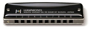 HAMMOND �n�����h 10���n�[���j�J HAMMOND HA-20 LowF��