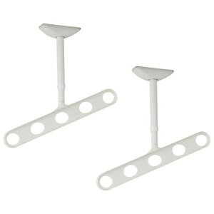 ����Z�� ���V�p������ �z�X�N���[�� ZAN-0450-PW �s���A�z���C�g 2�{1�g