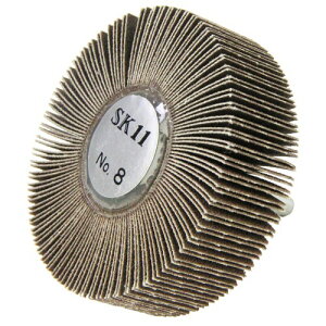 SK11(�G�X�P�[11) ���t�t���b�v�z�C�� �T���h�y�[�p�[ ���a6mm No.8 #100 80×25mm