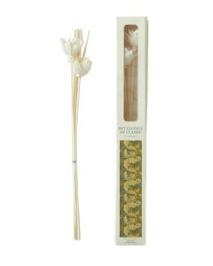 RETELLINGS OF CLASSIC ���e�����O�X�I�u�N���V�b�N Solaflower & Natural Sticks �\���t�����[�i�`�������X�e�B�b�N ACANTHUS
