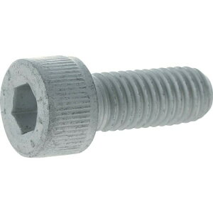 TRUSCO(�g���X�R) 14.9�����x�Z�p���t�{���g �X�`�[���E�f���^�v���e�N�g �S�˂� M6X20 8�{�� Y149D-0620