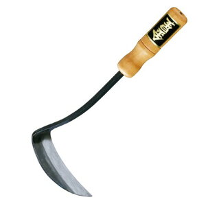 �L���{�V(Kinboshi) �����啪�J�i(��) 265082