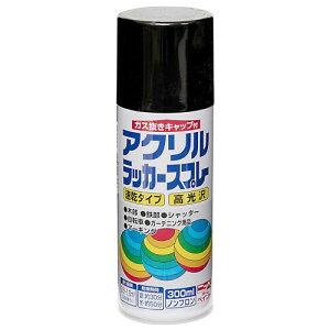 �j�b�y �y���L �X�v���[ �A�N�������b�J�[�X�v���[ 300ml �u���b�N ���b�J�[ �₠�� ���O ���{�� 4976124270536