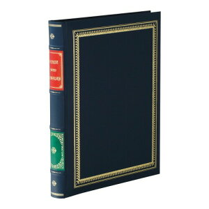 �AH-MB-20-B 100�N�A���o��/�}�W�F�X�e�B (�I�t�B�X�p�i)