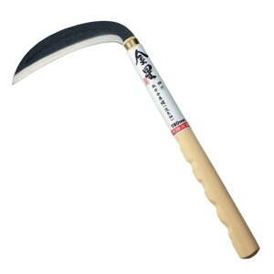 �L���{�V(Kinboshi) �|�t���n������ �������Ǖ��V���[�Y 160033