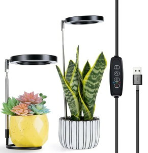 JCBritw �A���琬���C�g�X�^���h�t�� �f�X�N�g�b�v LED�A�����C�g�����\�A�^�C�}�[�@�\�A�J���[�X�C�b�`���u�� �����͔| �c�؍͔| ���ԐA���͔|�������k�͔|�����v ��؍H�� �A���͔|