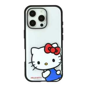 �O���}���f�B�[�Y �T�����I�L�����N�^�[�Y IIIIfit Clear iPhone16 Pro �Ή� �P�[�X �n���[�L�e�B SANG-447KT