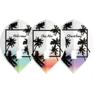 �G���X�^�C��(L-style) �G���t���C�g �t���C�g PRO ������R�����f�� ver.4 �e�B�A�h���b�v Clear White fl00702