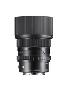 �V�O�}(Sigma) �����Y 65mm F2 DG DN Sony �\�j�[ E�}�E���g �P�œ_ �]�� �t���T�C�Y �~���[���X�p Contemporary