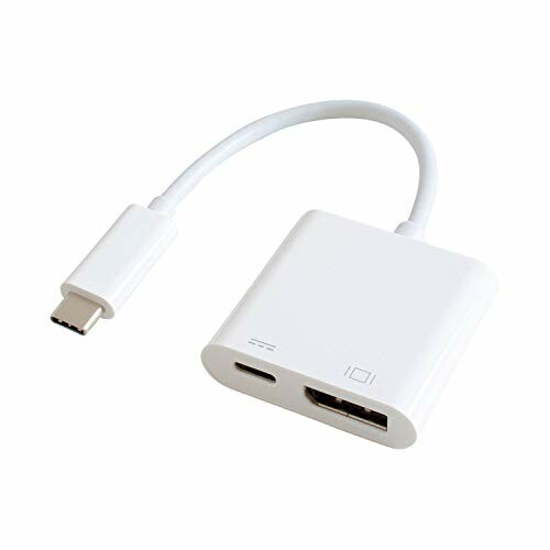GOPPA ゴッパ USB Type-C to DisplayPort変換アダプタ (PD対応) ホワイト GP-CDPH/W