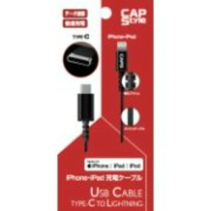 CAPS CAPS SC09 iP�P�[�u�� USBPD