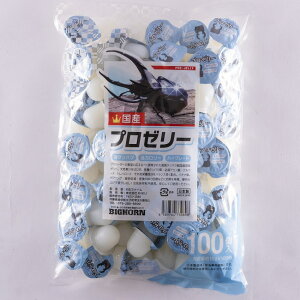 v[[16g 1100 KBt@[  JugV NK^V u[hɂ 