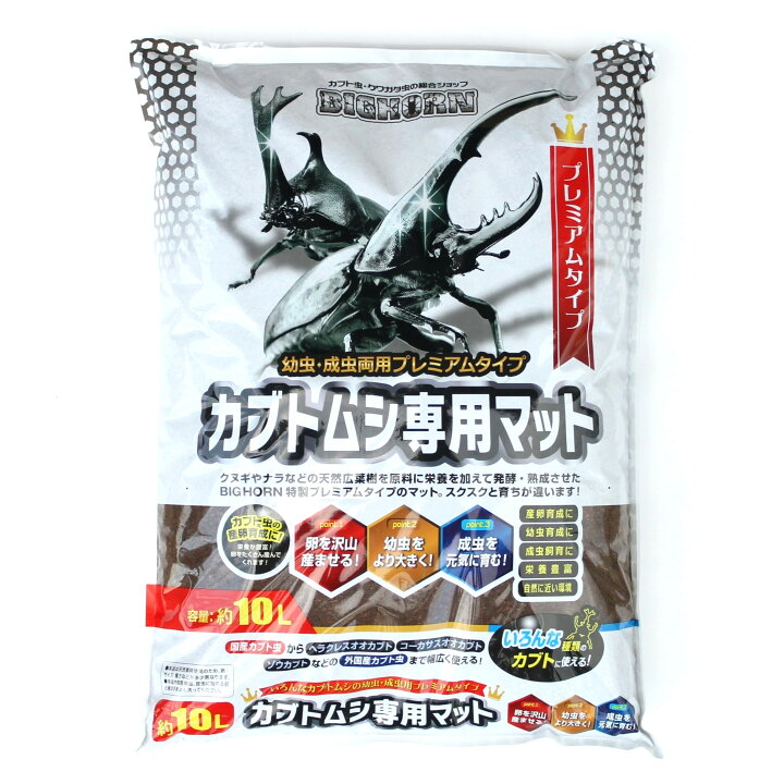 楽天市場】BIGHORN ヘラクレスヘラクレス3令幼虫 オス2匹セット 