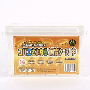 BIG HORN@RoGȂ玔P[X() RoGȂ NAP[X ނ ێ ώ@₷ pi @fWP[X