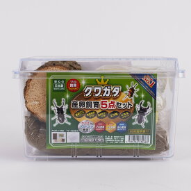 BIGHORN MIKUクワガタ産卵飼育セット 5点セット 飼育ケース・昆虫マット・昆虫ゼリー・エサ皿・朽ち木入り クワガタムシ
