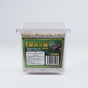 BIG HORN ێ ґO 600CC l Lt Y ێr MIKU RoGȂ P[X